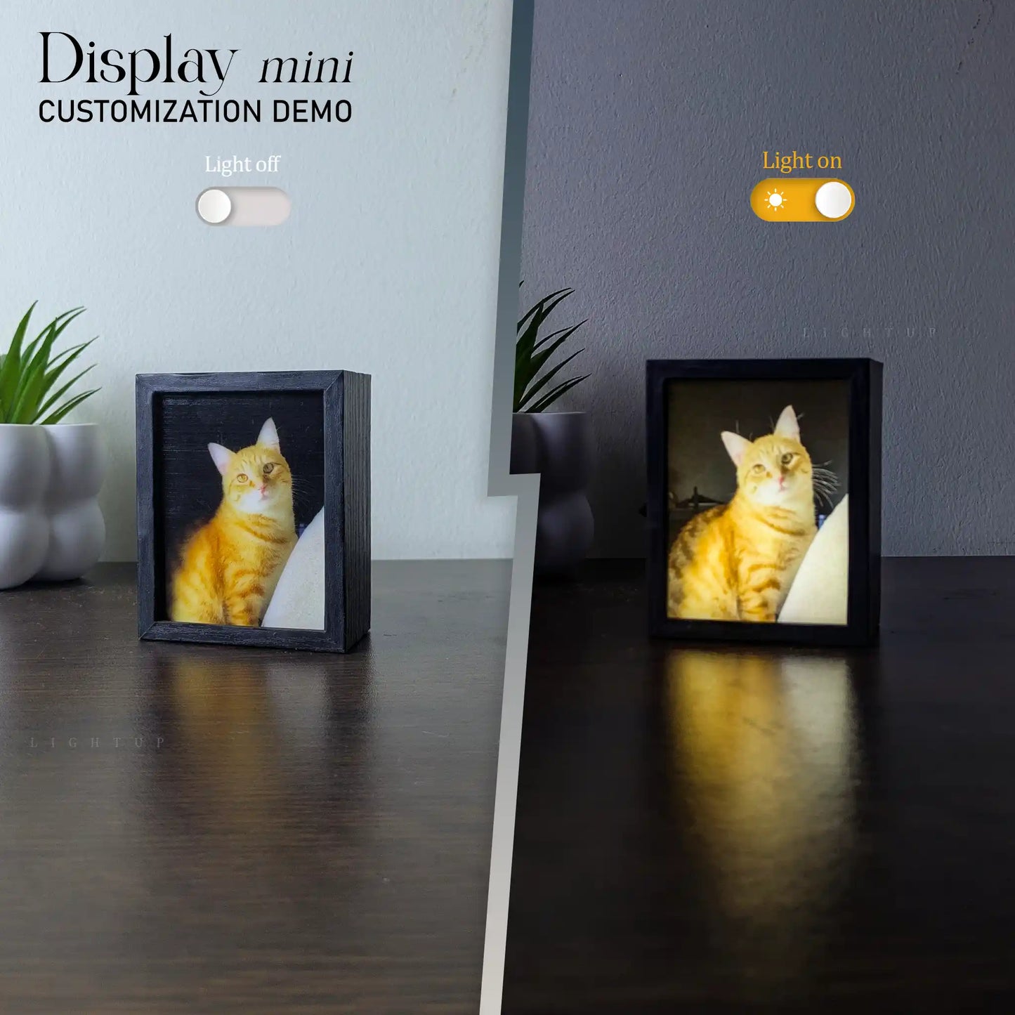 Customized Display Mini (One lightbox + 2 picture combo)