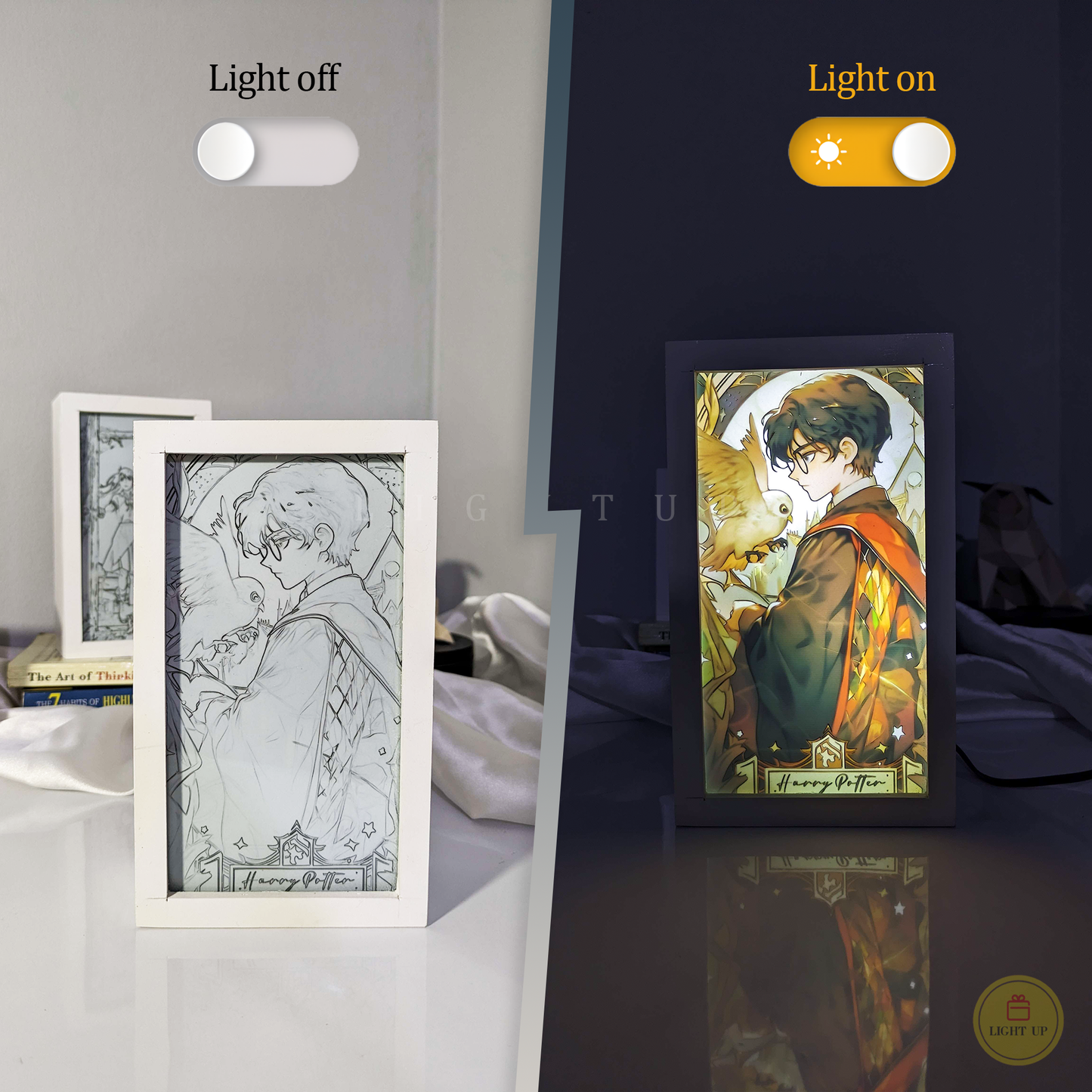 Harry Potter Transformation Lightbox | Harry Potter