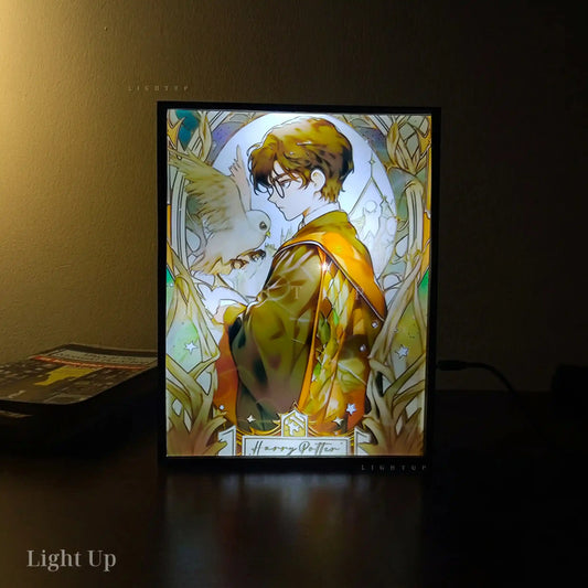 Harry Potter Transformation Lightbox | Harry Potter